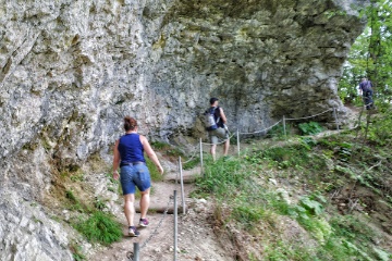 Das Jgerwgli ist der einzige Berwanderweg (T2) im Baselbiet. Er fhrt von der Talstation der Luftseilbahn Reigoldswil-Wasserfallen entlang der jungen hinteren Frenke bis hoch zur Bergstation.Lnge 2.6 km, Hhendifferenz 389m